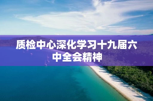 质检中心深化学习十九届六中全会精神