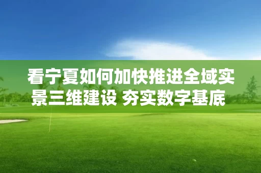 看宁夏如何加快推进全域实景三维建设 夯实数字基底 细构应用场景 看宁夏如何加快推进全域实景三维建设 夯实数字基底 细构应用场景