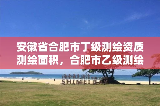 安徽省合肥市丁级测绘资质测绘面积，合肥市乙级测绘公司