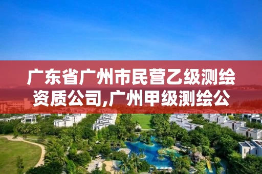 广东省广州市民营乙级测绘资质公司,广州甲级测绘公司 广东省广州市民营乙级测绘资质公司,广州甲级测绘公司