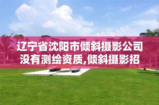 辽宁省沈阳市倾斜摄影公司没有测绘资质,倾斜摄影招聘