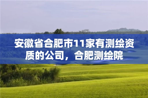 安徽省合肥市11家有测绘资质的公司,合肥测绘院 安徽省合肥市11家有测绘资质的公司,合肥测绘院