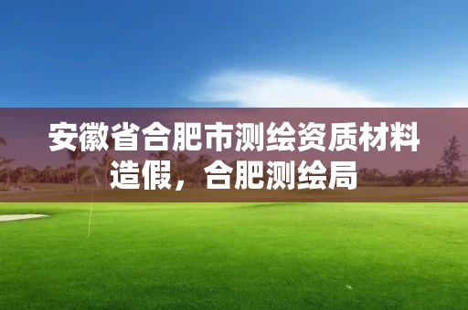 安徽省合肥市测绘资质材料造假，合肥测绘局