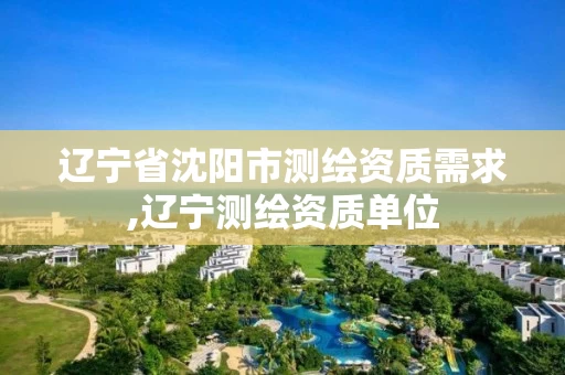 辽宁省沈阳市测绘资质需求,辽宁测绘资质单位