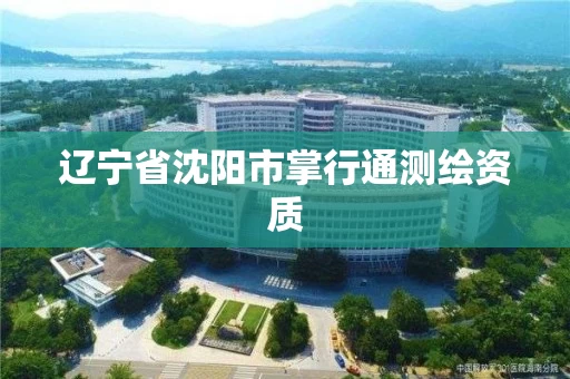 辽宁省沈阳市掌行通测绘资质 辽宁省沈阳市掌行通测绘资质