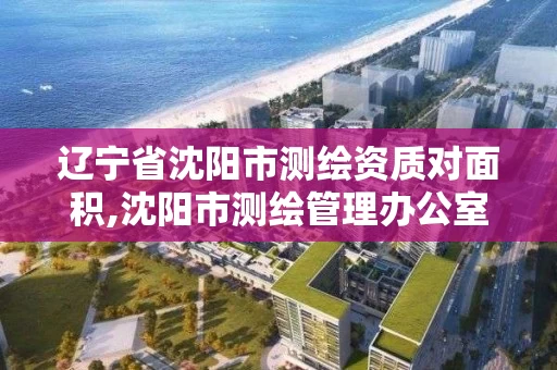 辽宁省沈阳市测绘资质对面积,沈阳市测绘管理办公室
