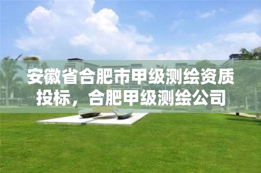 安徽省合肥市甲级测绘资质投标，合肥甲级测绘公司