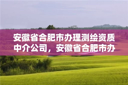 安徽省合肥市办理测绘资质中介公司，安徽省合肥市办理测绘资质中介公司有几家