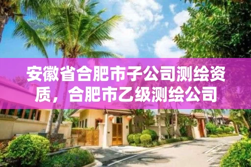 安徽省合肥市子公司测绘资质,合肥市乙级测绘公司 安徽省合肥市子公司测绘资质,合肥市乙级测绘公司