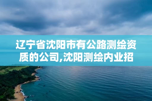 辽宁省沈阳市有公路测绘资质的公司,沈阳测绘内业招聘。