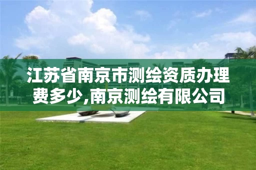 江苏省南京市测绘资质办理费多少,南京测绘有限公司
