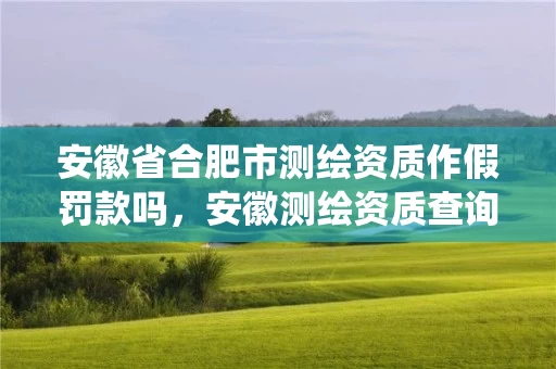 安徽省合肥市测绘资质作假罚款吗，安徽测绘资质查询系统