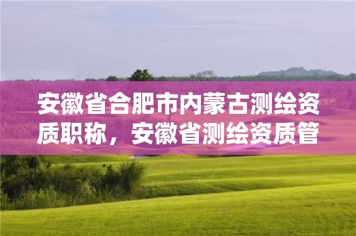 安徽省合肥市内蒙古测绘资质职称，安徽省测绘资质管理系统