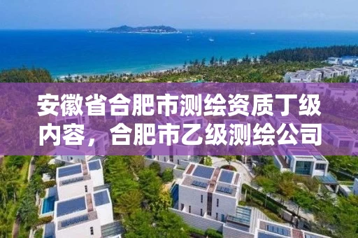安徽省合肥市测绘资质丁级内容，合肥市乙级测绘公司