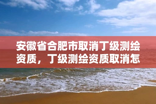 安徽省合肥市取消丁级测绘资质，丁级测绘资质取消怎么办