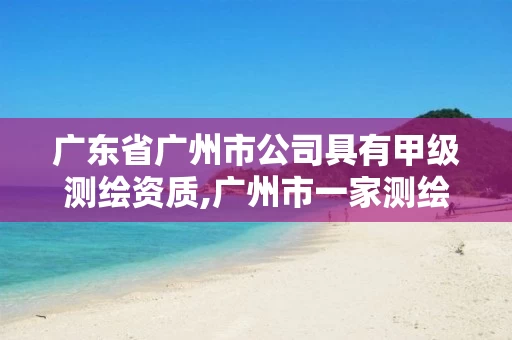 广东省广州市公司具有甲级测绘资质,广州市一家测绘资质单位