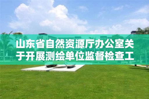 山东省自然资源厅办公室关于开展测绘单位监督检查工作的通知