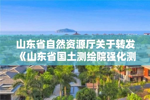 山东省自然资源厅关于转发《山东省国土测绘院强化测绘地理信息技术保障服务全省经济社会高质量发展项目清单》的通知