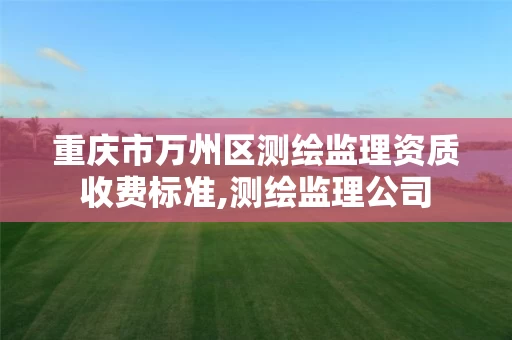 重庆市万州区测绘监理资质收费标准,测绘监理公司