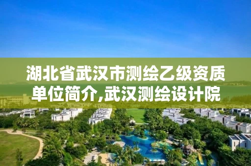 湖北省武汉市测绘乙级资质单位简介,武汉测绘设计院