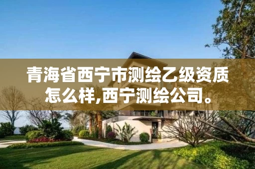 青海省西宁市测绘乙级资质怎么样,西宁测绘公司。