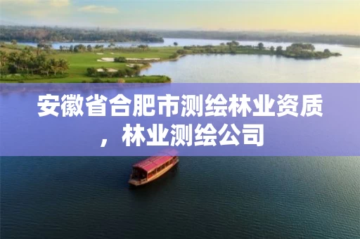 安徽省合肥市测绘,林业测绘公司