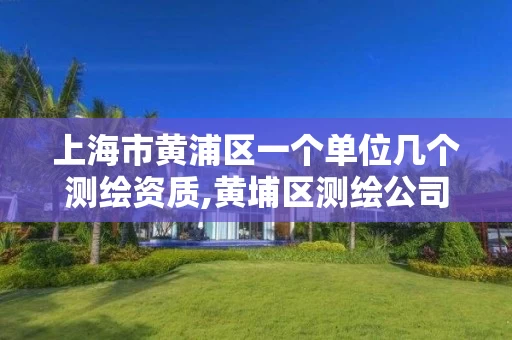 上海市黄浦区一个单位几个测绘资质,黄埔区测绘公司。