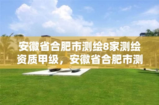 安徽省合肥市测绘8家测绘资质甲级，安徽省合肥市测绘8家测绘资质甲级公司名单