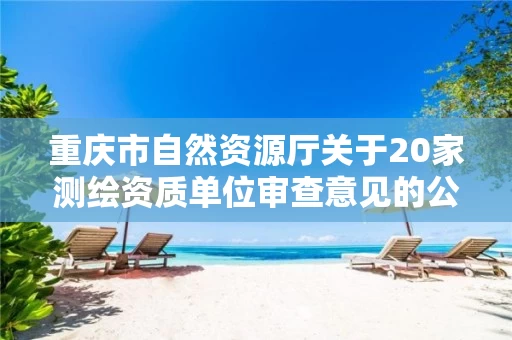 重庆市自然资源厅关于20家单位审查意见的公示