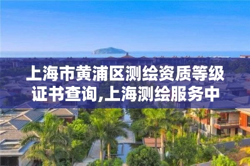 上海市黄浦区测绘资质等级证书查询,上海测绘服务中心。