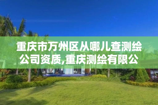重庆市万州区从哪儿查测绘公司资质,重庆测绘有限公司。