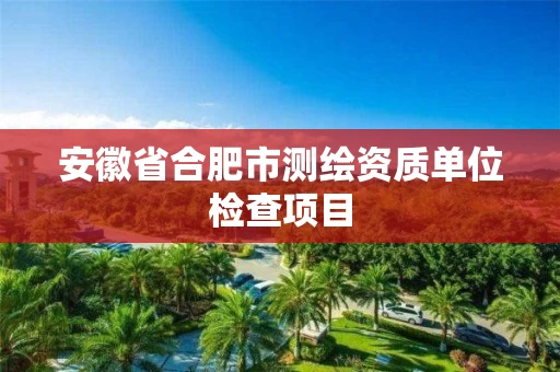 安徽省合肥市测绘资质单位检查项目