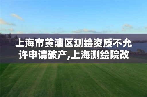 上海市黄浦区测绘资质不允许申请破产,上海测绘院改制。