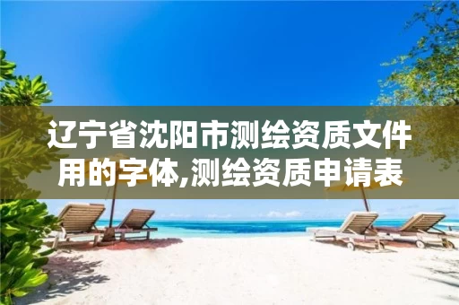 辽宁省沈阳市测绘资质文件用的字体,测绘资质申请表。