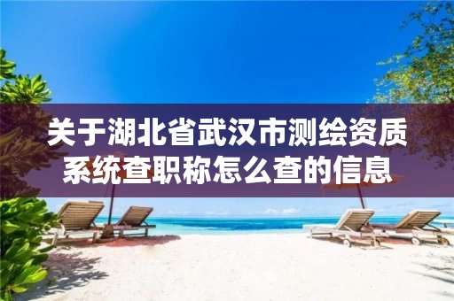 关于湖北省武汉市测绘资质系统查职称怎么查的信息