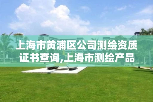 上海市黄浦区公司测绘资质证书查询,上海市测绘产品质量监督检验站。