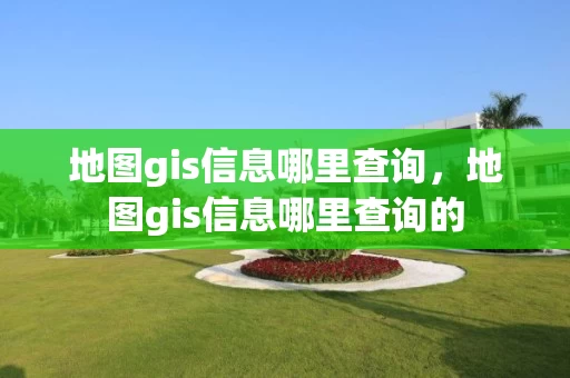 地图gis信息哪里查询，地图gis信息哪里查询的