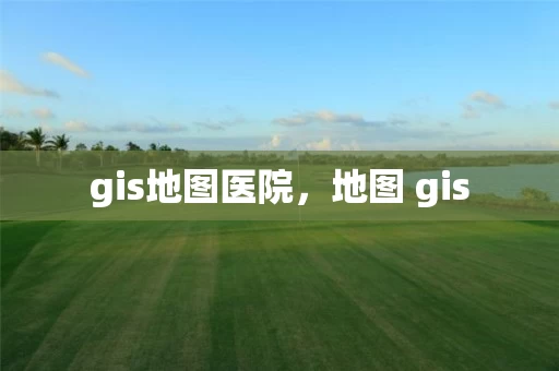 gis地图医院，地图 gis