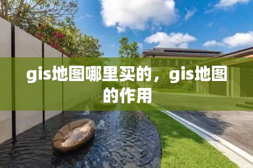 gis地图哪里买的，gis地图的作用