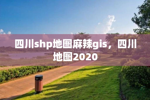 四川shp地图麻辣gis，四川地图2020