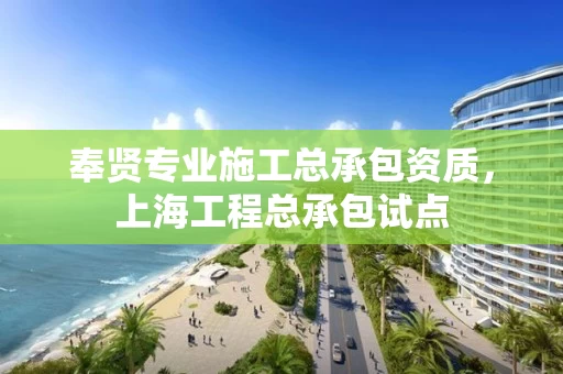 奉贤专业施工总承包资质，上海工程总承包试点