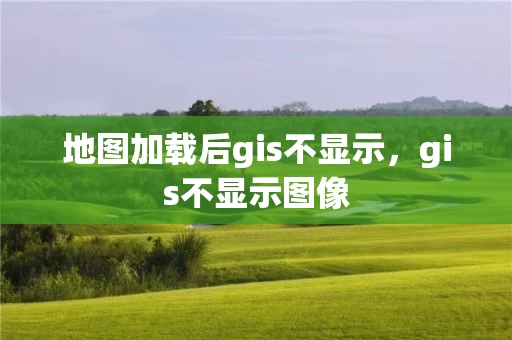 地图加载后gis不显示，gis不显示图像