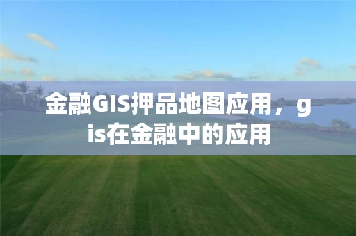金融GIS押品地图应用，gis在金融中的应用