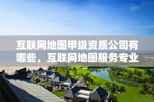 互联网地图甲级资质公司有哪些，互联网地图服务专业标准