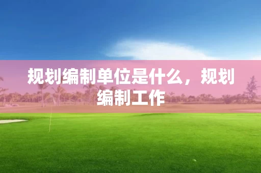 规划编制单位是什么，规划编制工作