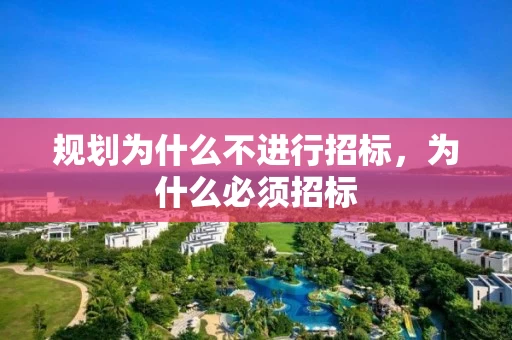 规划为什么不进行招标，为什么必须招标