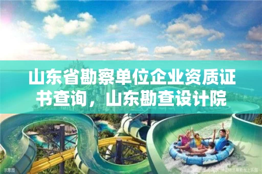 山东省勘察单位企业资质证书查询，山东勘查设计院