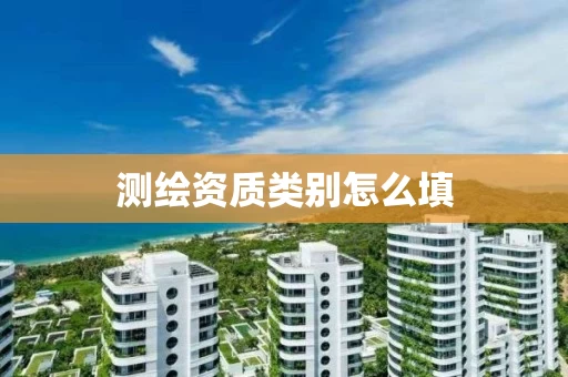 测绘资质类别怎么填