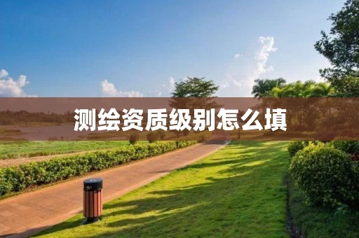 测绘资质级别怎么填