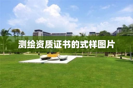 证书的式样图片
